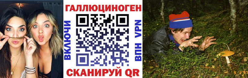 Псилоцибиновые грибы Psilocybe  ОМГ ОМГ tor  Юхнов 